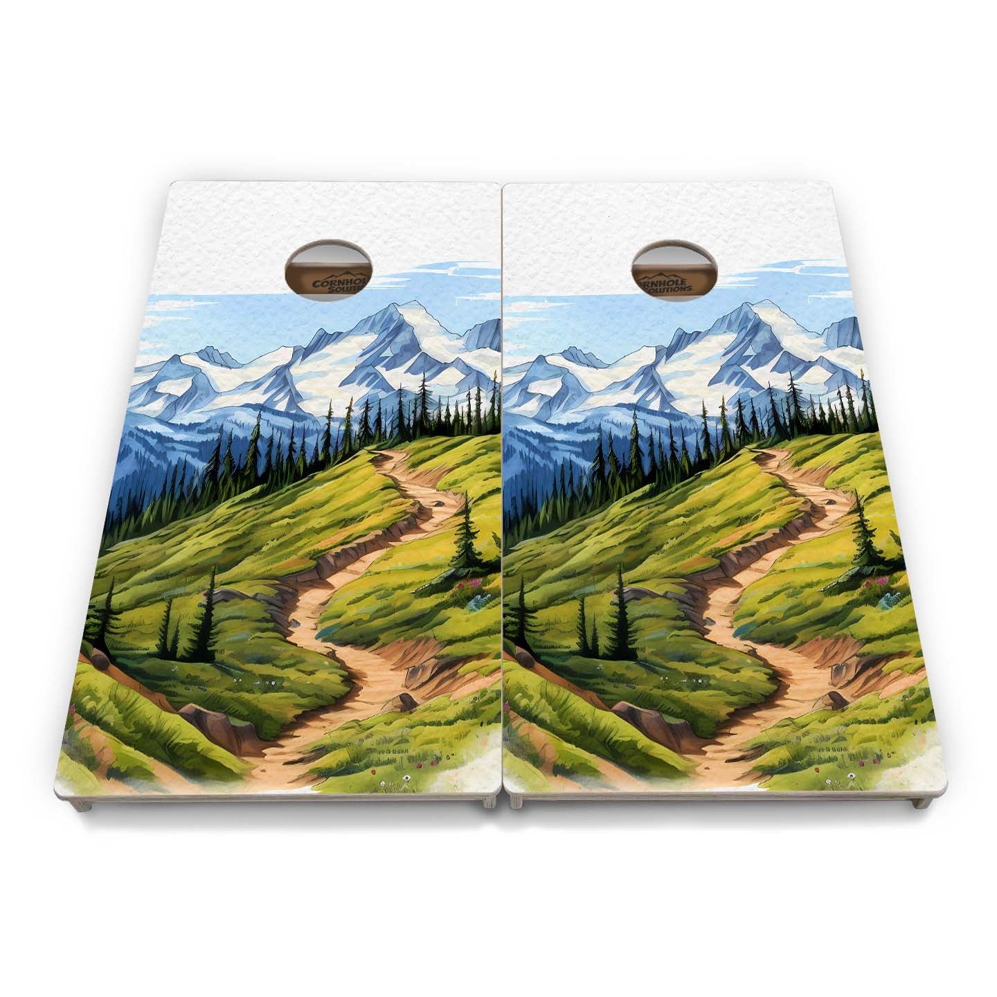 National Parks Cornhole Boards - Professional Tournament Series (10 options)